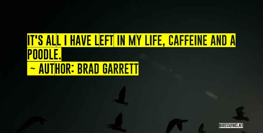 Brad Garrett Quotes: It's All I Have Left In My Life, Caffeine And A Poodle.