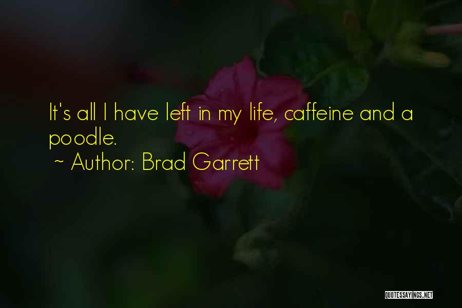 Brad Garrett Quotes: It's All I Have Left In My Life, Caffeine And A Poodle.