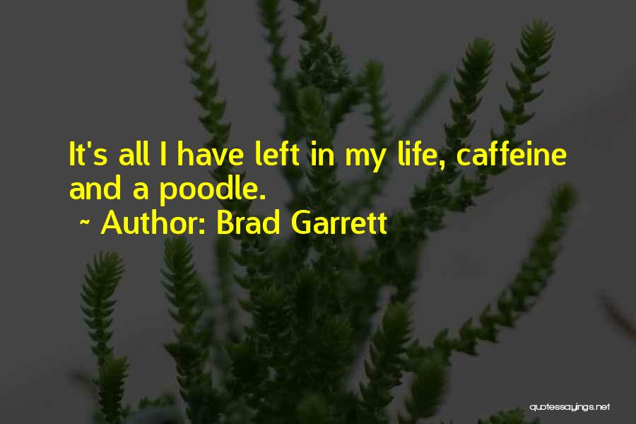 Brad Garrett Quotes: It's All I Have Left In My Life, Caffeine And A Poodle.