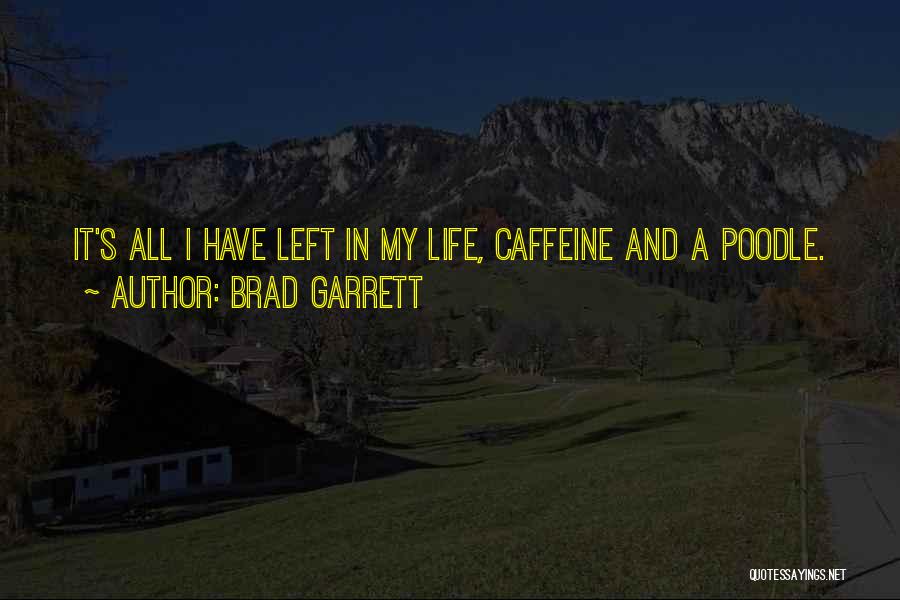 Brad Garrett Quotes: It's All I Have Left In My Life, Caffeine And A Poodle.