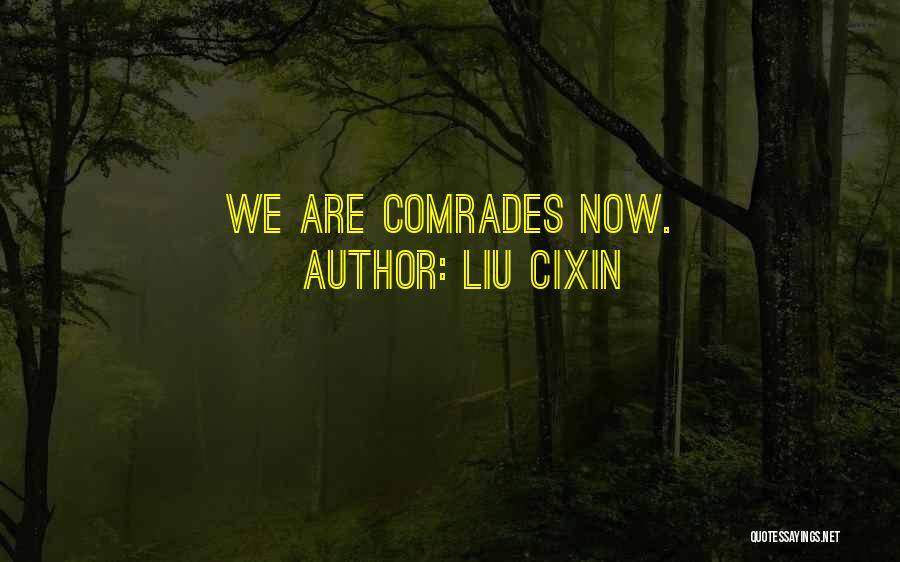 Liu Cixin Quotes: We Are Comrades Now.