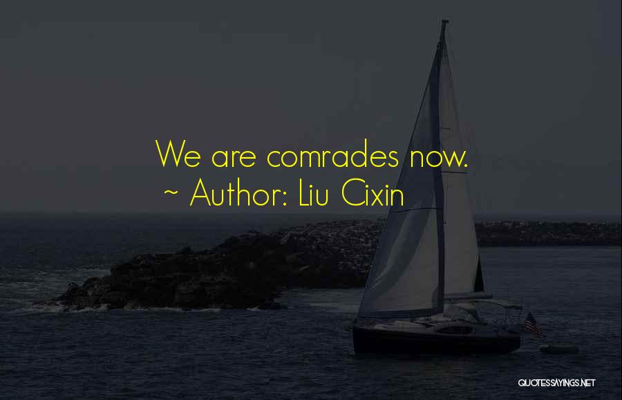 Liu Cixin Quotes: We Are Comrades Now.