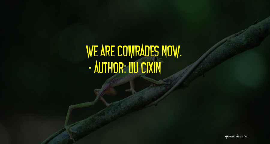 Liu Cixin Quotes: We Are Comrades Now.