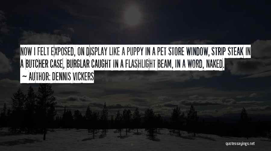 Dennis Vickers Quotes: Now I Felt Exposed, On Display Like A Puppy In A Pet Store Window, Strip Steak In A Butcher Case,