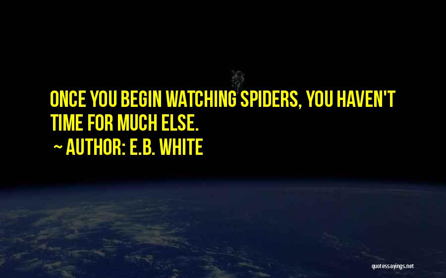 E.B. White Quotes: Once You Begin Watching Spiders, You Haven't Time For Much Else.