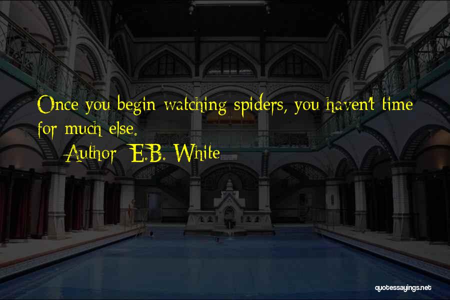 E.B. White Quotes: Once You Begin Watching Spiders, You Haven't Time For Much Else.