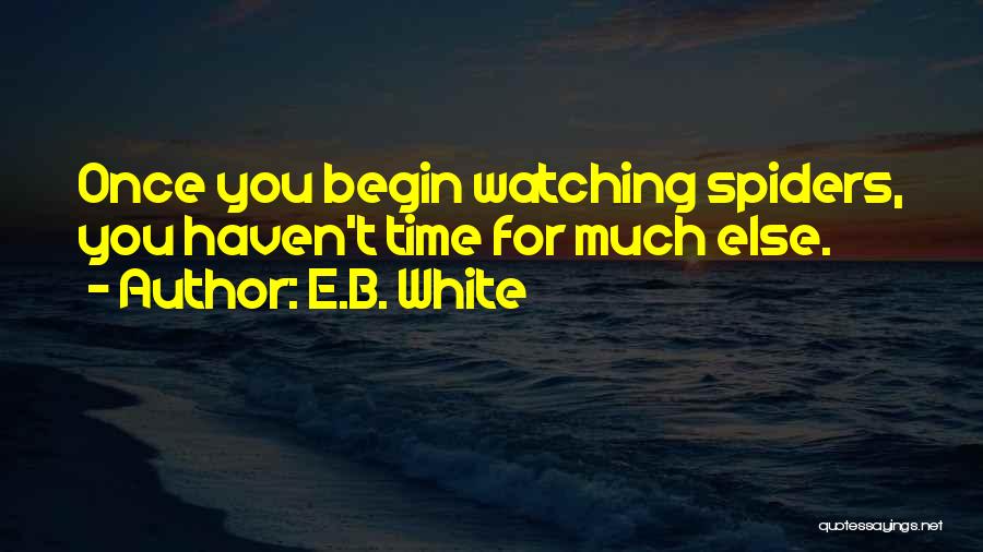 E.B. White Quotes: Once You Begin Watching Spiders, You Haven't Time For Much Else.