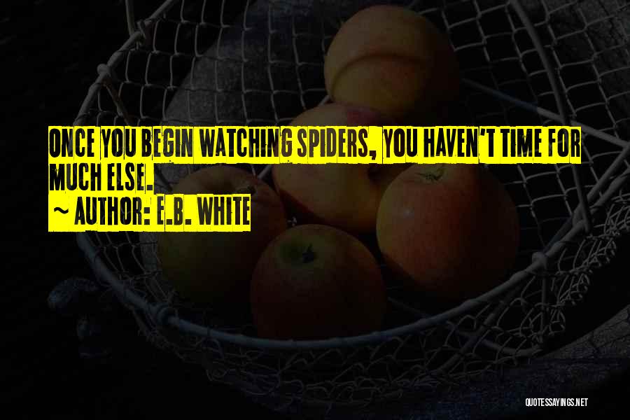 E.B. White Quotes: Once You Begin Watching Spiders, You Haven't Time For Much Else.