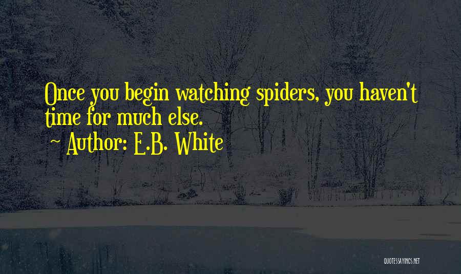 E.B. White Quotes: Once You Begin Watching Spiders, You Haven't Time For Much Else.