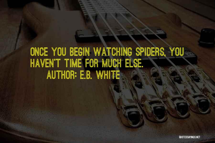 E.B. White Quotes: Once You Begin Watching Spiders, You Haven't Time For Much Else.