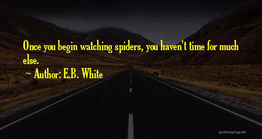 E.B. White Quotes: Once You Begin Watching Spiders, You Haven't Time For Much Else.