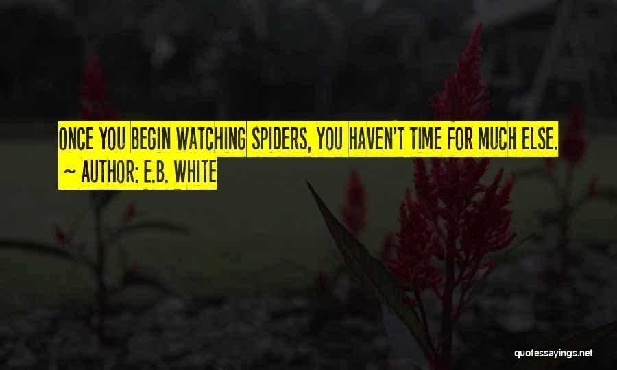 E.B. White Quotes: Once You Begin Watching Spiders, You Haven't Time For Much Else.