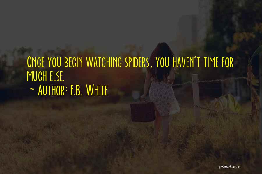 E.B. White Quotes: Once You Begin Watching Spiders, You Haven't Time For Much Else.