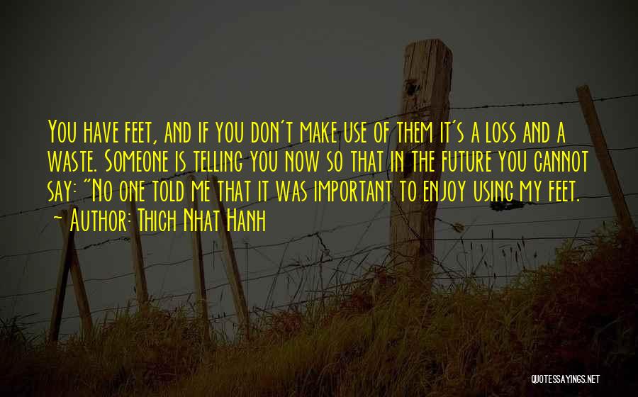 Thich Nhat Hanh Quotes: You Have Feet, And If You Don't Make Use Of Them It's A Loss And A Waste. Someone Is Telling