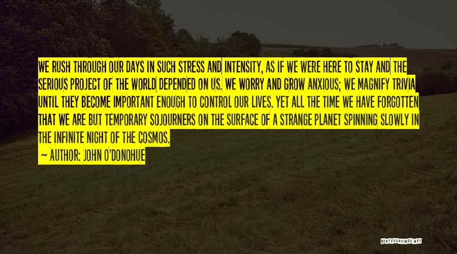 John O'Donohue Quotes: We Rush Through Our Days In Such Stress And Intensity, As If We Were Here To Stay And The Serious