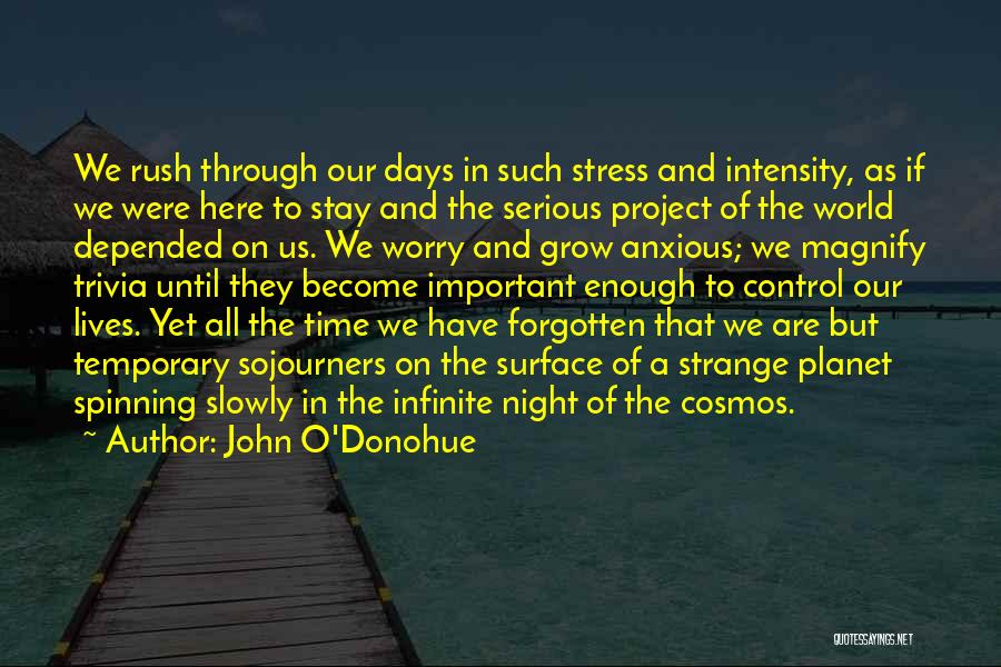 John O'Donohue Quotes: We Rush Through Our Days In Such Stress And Intensity, As If We Were Here To Stay And The Serious