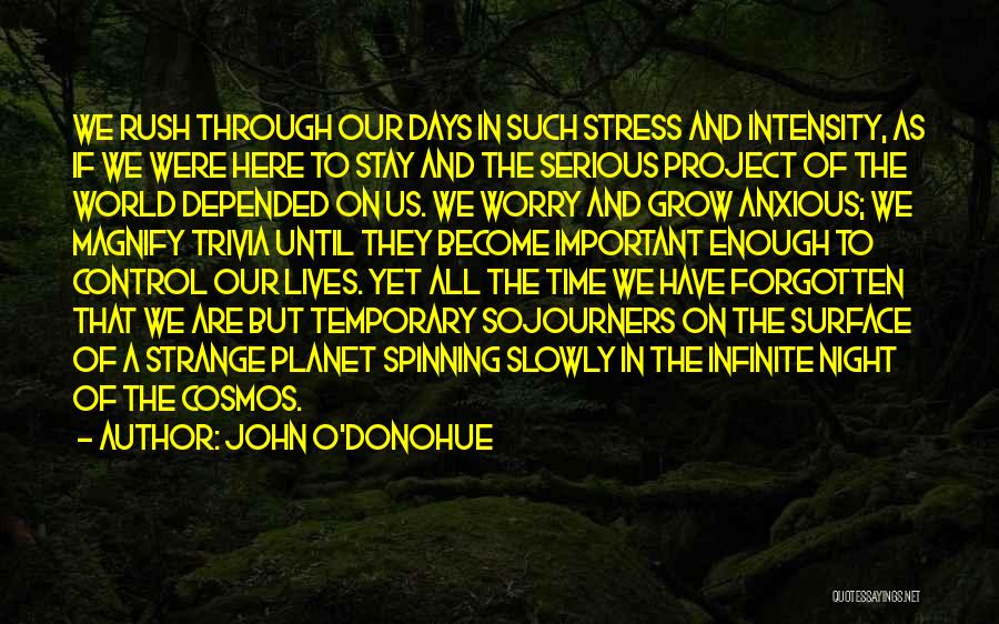 John O'Donohue Quotes: We Rush Through Our Days In Such Stress And Intensity, As If We Were Here To Stay And The Serious