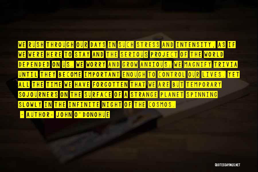 John O'Donohue Quotes: We Rush Through Our Days In Such Stress And Intensity, As If We Were Here To Stay And The Serious