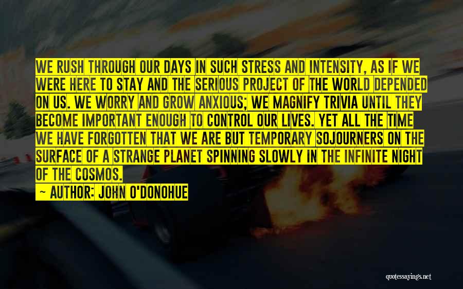 John O'Donohue Quotes: We Rush Through Our Days In Such Stress And Intensity, As If We Were Here To Stay And The Serious