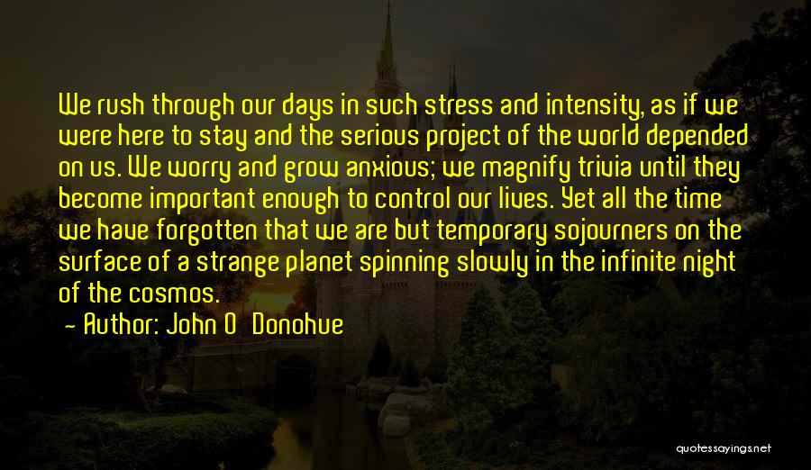 John O'Donohue Quotes: We Rush Through Our Days In Such Stress And Intensity, As If We Were Here To Stay And The Serious