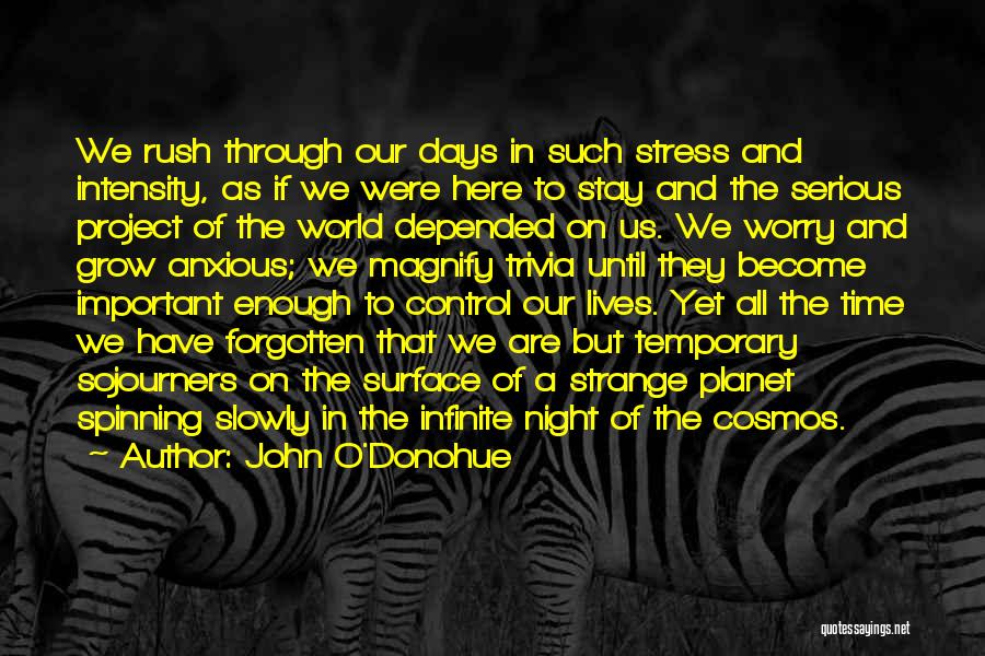 John O'Donohue Quotes: We Rush Through Our Days In Such Stress And Intensity, As If We Were Here To Stay And The Serious