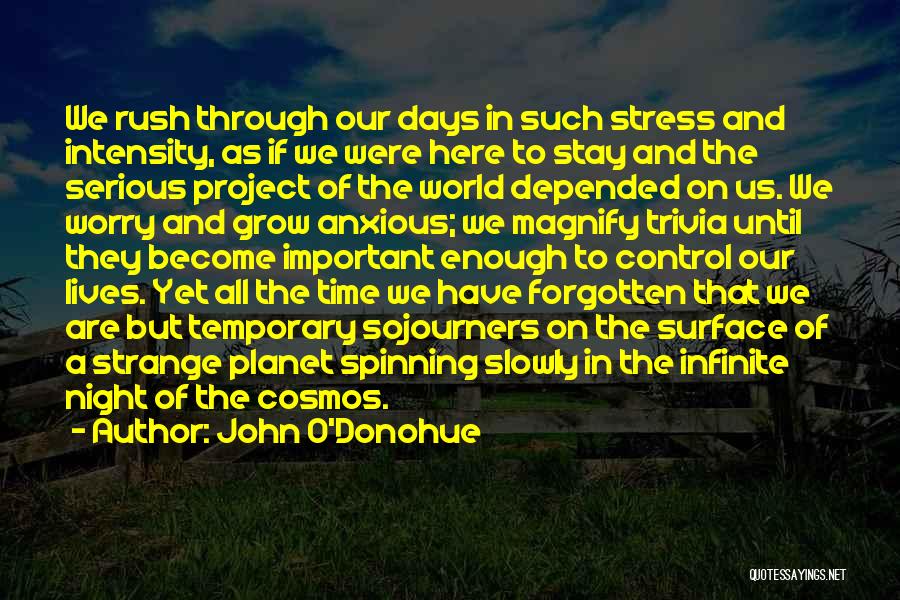 John O'Donohue Quotes: We Rush Through Our Days In Such Stress And Intensity, As If We Were Here To Stay And The Serious