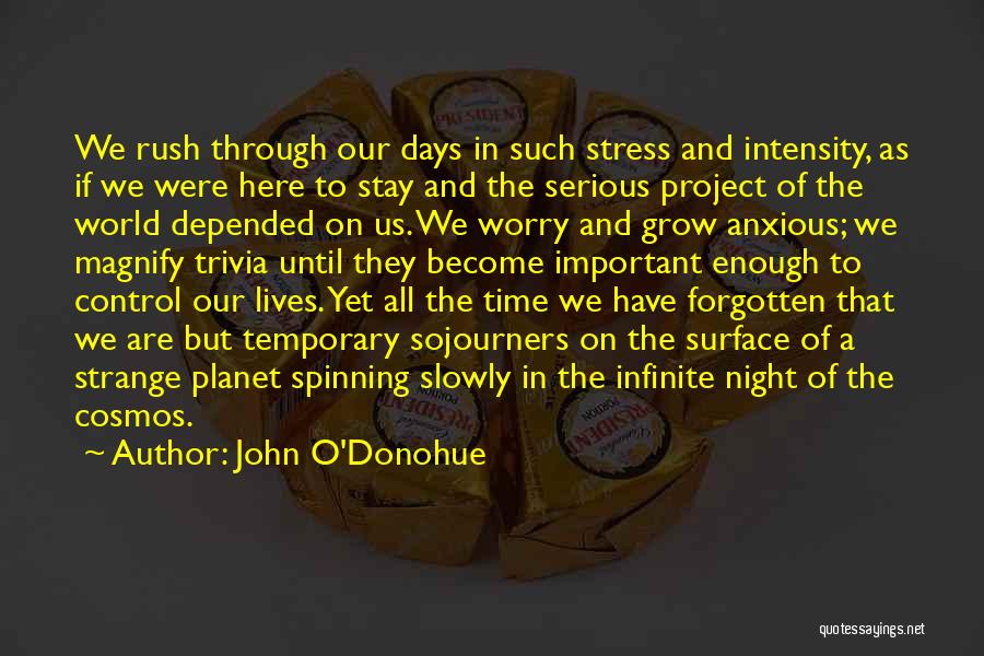 John O'Donohue Quotes: We Rush Through Our Days In Such Stress And Intensity, As If We Were Here To Stay And The Serious