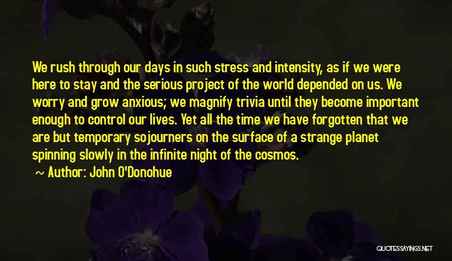 John O'Donohue Quotes: We Rush Through Our Days In Such Stress And Intensity, As If We Were Here To Stay And The Serious