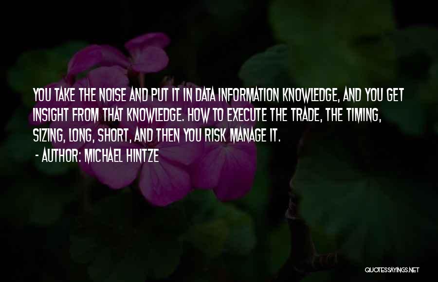 Michael Hintze Quotes: You Take The Noise And Put It In Data Information Knowledge, And You Get Insight From That Knowledge. How To