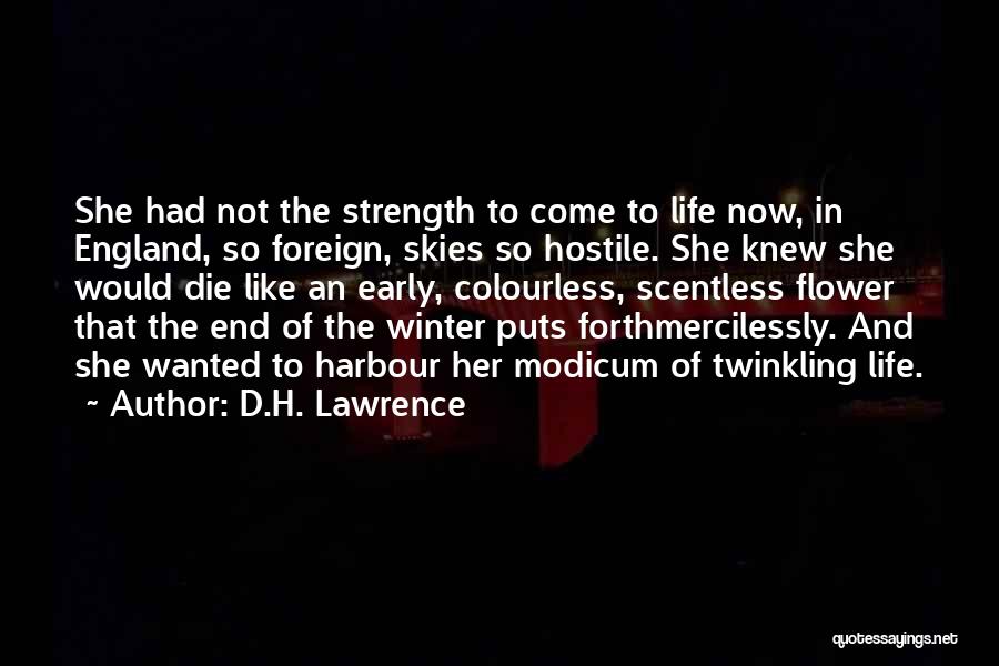 D.H. Lawrence Quotes: She Had Not The Strength To Come To Life Now, In England, So Foreign, Skies So Hostile. She Knew She