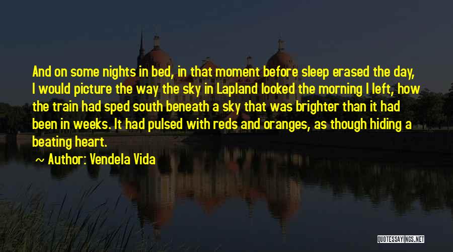 Vendela Vida Quotes: And On Some Nights In Bed, In That Moment Before Sleep Erased The Day, I Would Picture The Way The