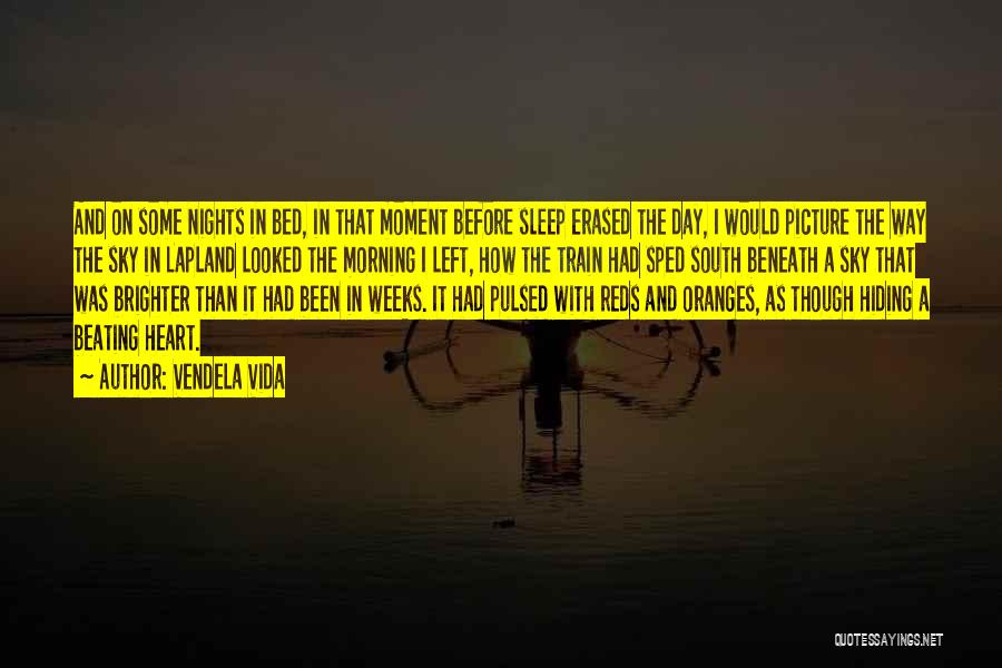 Vendela Vida Quotes: And On Some Nights In Bed, In That Moment Before Sleep Erased The Day, I Would Picture The Way The