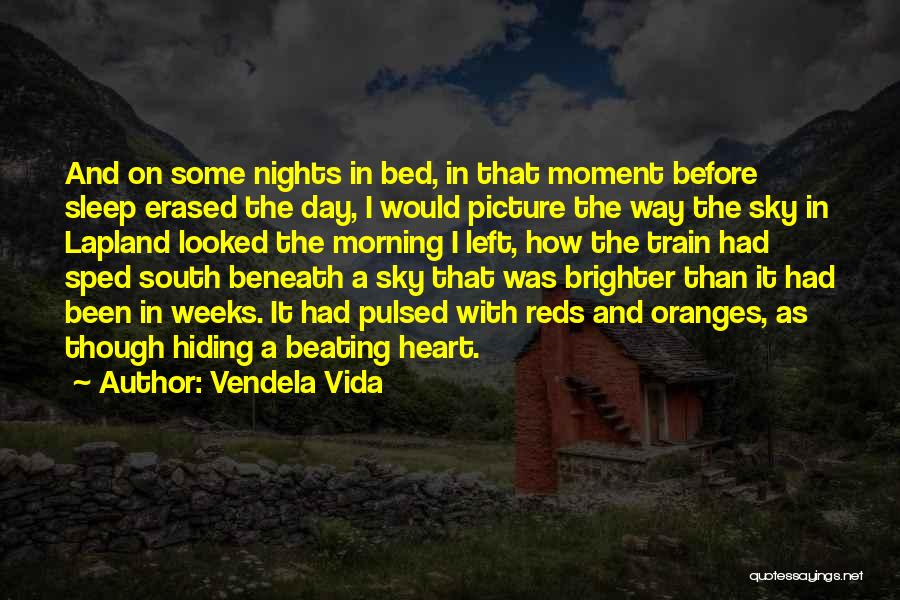 Vendela Vida Quotes: And On Some Nights In Bed, In That Moment Before Sleep Erased The Day, I Would Picture The Way The