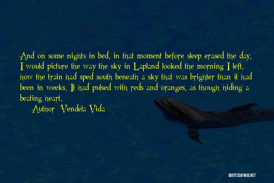 Vendela Vida Quotes: And On Some Nights In Bed, In That Moment Before Sleep Erased The Day, I Would Picture The Way The