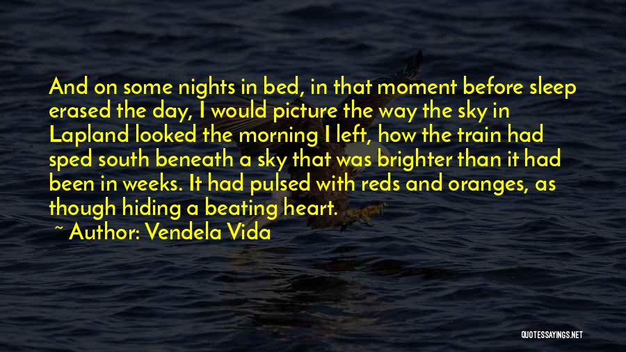 Vendela Vida Quotes: And On Some Nights In Bed, In That Moment Before Sleep Erased The Day, I Would Picture The Way The