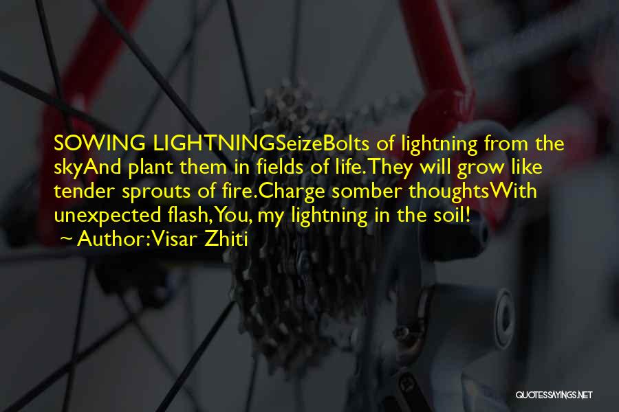Visar Zhiti Quotes: Sowing Lightningseizebolts Of Lightning From The Skyand Plant Them In Fields Of Life.they Will Grow Like Tender Sprouts Of Fire.charge