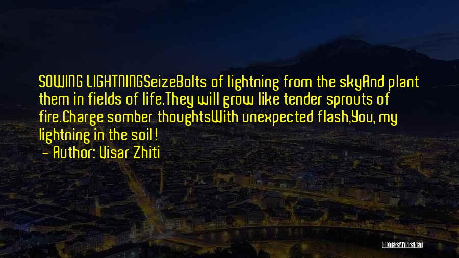 Visar Zhiti Quotes: Sowing Lightningseizebolts Of Lightning From The Skyand Plant Them In Fields Of Life.they Will Grow Like Tender Sprouts Of Fire.charge