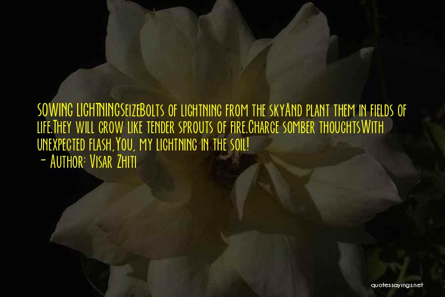 Visar Zhiti Quotes: Sowing Lightningseizebolts Of Lightning From The Skyand Plant Them In Fields Of Life.they Will Grow Like Tender Sprouts Of Fire.charge