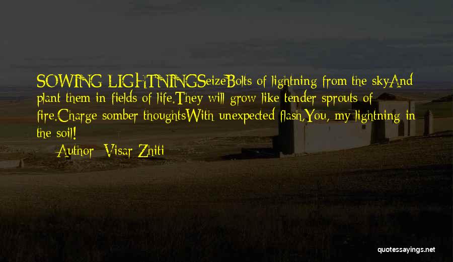 Visar Zhiti Quotes: Sowing Lightningseizebolts Of Lightning From The Skyand Plant Them In Fields Of Life.they Will Grow Like Tender Sprouts Of Fire.charge