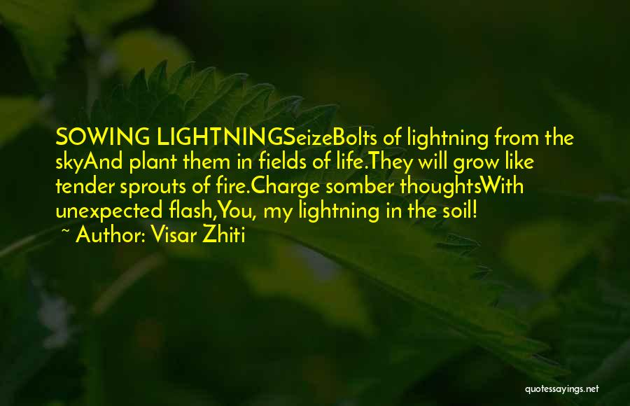 Visar Zhiti Quotes: Sowing Lightningseizebolts Of Lightning From The Skyand Plant Them In Fields Of Life.they Will Grow Like Tender Sprouts Of Fire.charge