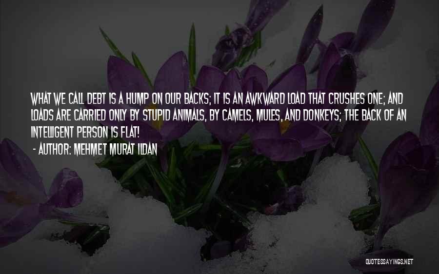 Mehmet Murat Ildan Quotes: What We Call Debt Is A Hump On Our Backs; It Is An Awkward Load That Crushes One; And Loads