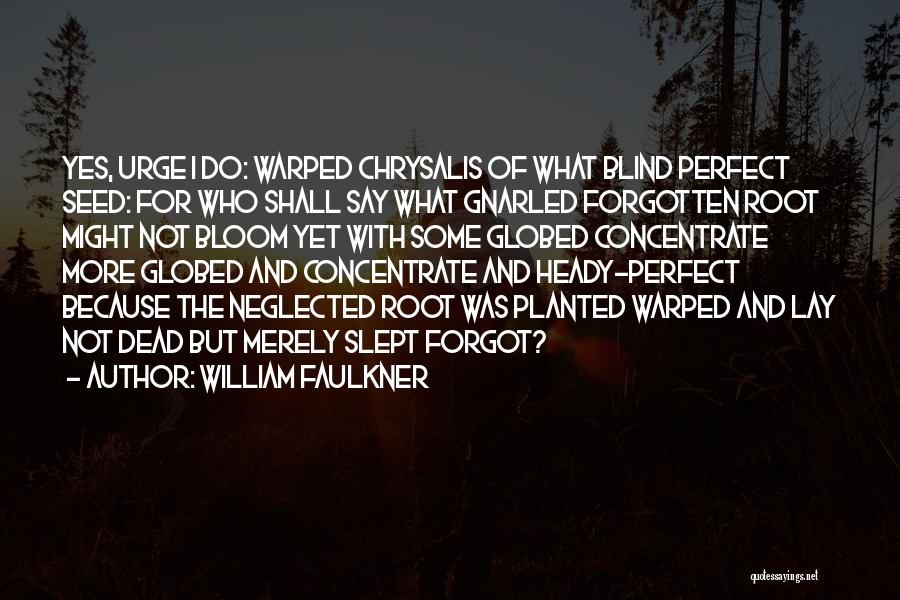 William Faulkner Quotes: Yes, Urge I Do: Warped Chrysalis Of What Blind Perfect Seed: For Who Shall Say What Gnarled Forgotten Root Might