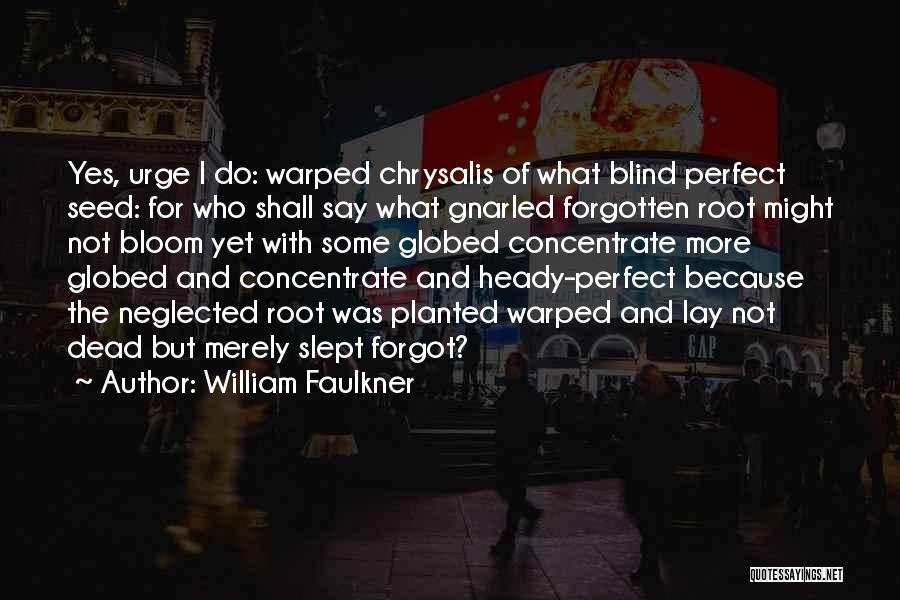 William Faulkner Quotes: Yes, Urge I Do: Warped Chrysalis Of What Blind Perfect Seed: For Who Shall Say What Gnarled Forgotten Root Might