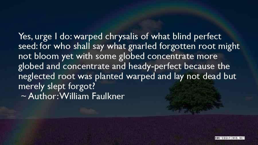 William Faulkner Quotes: Yes, Urge I Do: Warped Chrysalis Of What Blind Perfect Seed: For Who Shall Say What Gnarled Forgotten Root Might