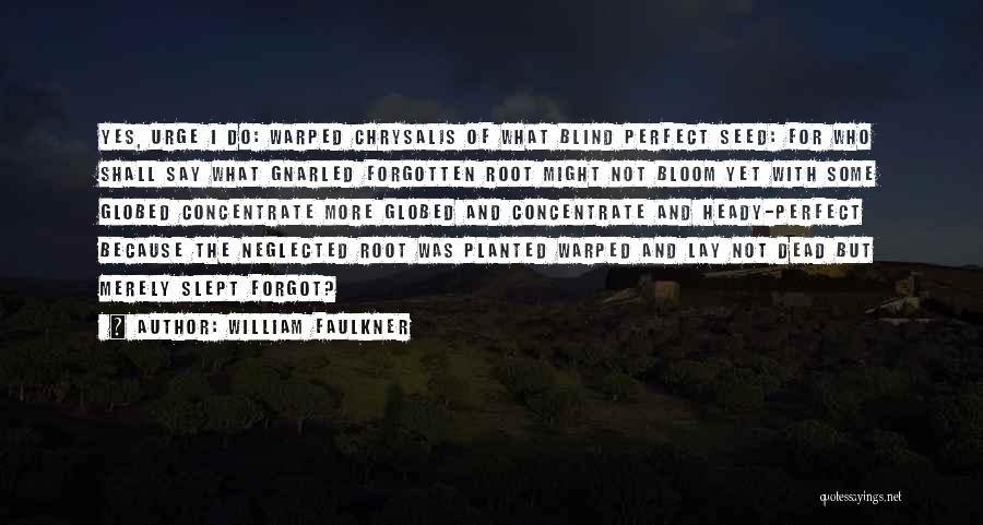 William Faulkner Quotes: Yes, Urge I Do: Warped Chrysalis Of What Blind Perfect Seed: For Who Shall Say What Gnarled Forgotten Root Might