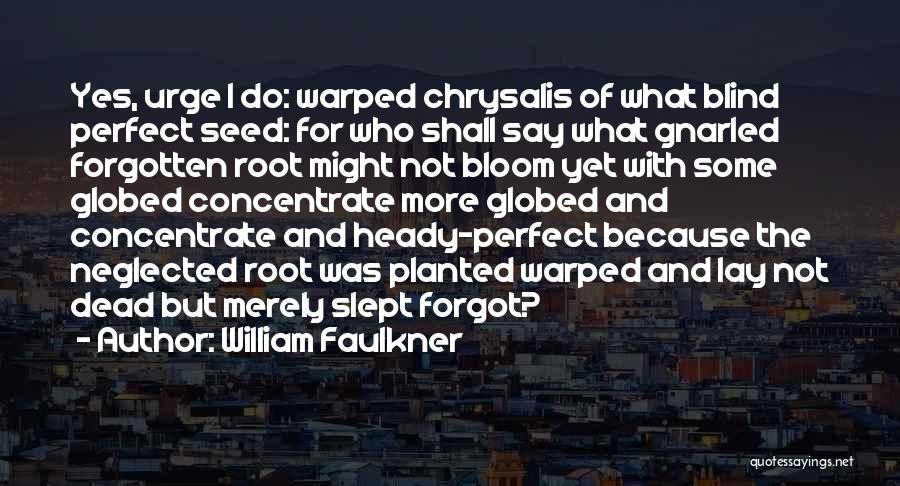 William Faulkner Quotes: Yes, Urge I Do: Warped Chrysalis Of What Blind Perfect Seed: For Who Shall Say What Gnarled Forgotten Root Might