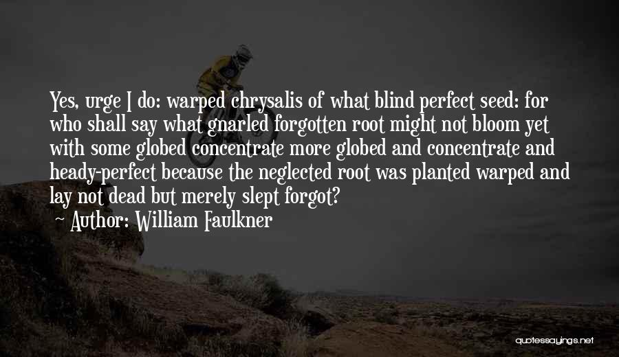 William Faulkner Quotes: Yes, Urge I Do: Warped Chrysalis Of What Blind Perfect Seed: For Who Shall Say What Gnarled Forgotten Root Might