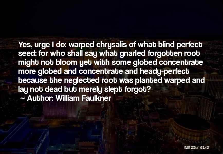 William Faulkner Quotes: Yes, Urge I Do: Warped Chrysalis Of What Blind Perfect Seed: For Who Shall Say What Gnarled Forgotten Root Might