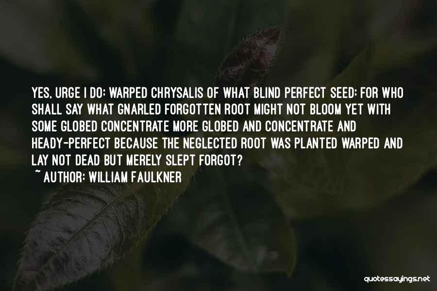 William Faulkner Quotes: Yes, Urge I Do: Warped Chrysalis Of What Blind Perfect Seed: For Who Shall Say What Gnarled Forgotten Root Might
