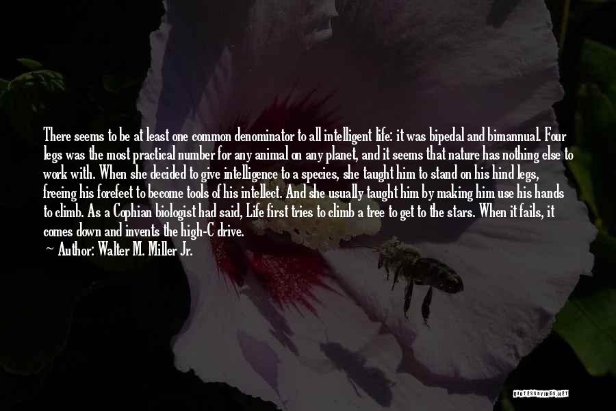 Walter M. Miller Jr. Quotes: There Seems To Be At Least One Common Denominator To All Intelligent Life: It Was Bipedal And Bimannual. Four Legs